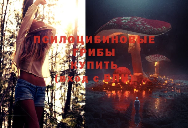 твердый Магадан